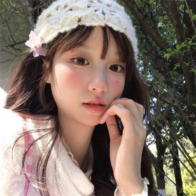 我的阿米什人双重生活